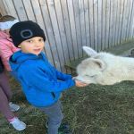 Img 20220926 Wa0009