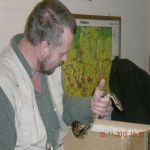 Schlangen   07