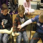 Schlangen   17