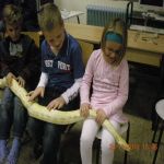 Schlangen   23