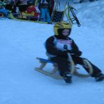 Rodelrennen   16