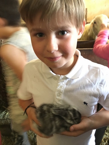 img 20180525 wa0010 003